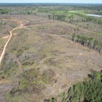 141 Acres in Scott County in Forest MS images 3