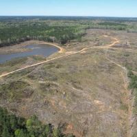 141 Acres in Scott County in Forest MS images 4