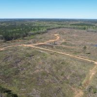 141 Acres in Scott County in Forest MS images 5
