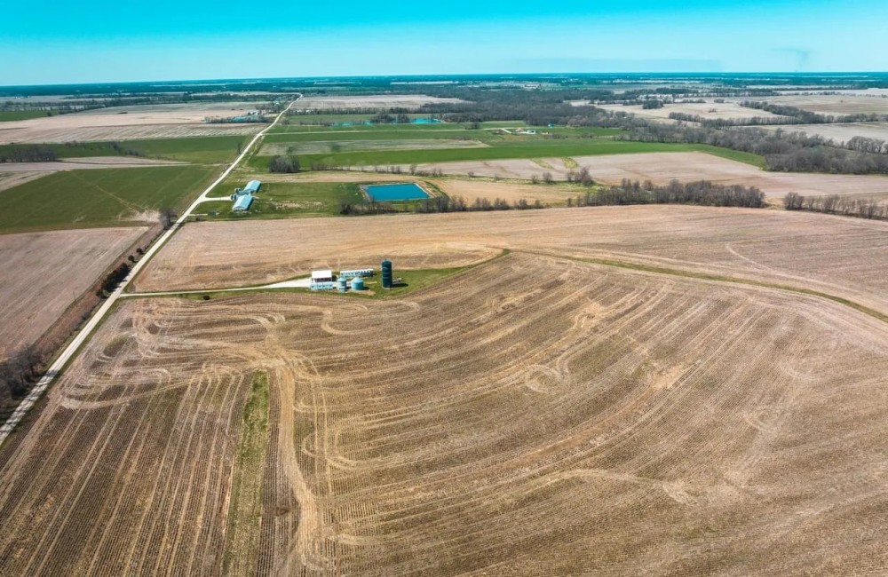 Youngs Creek Agricultural Farm featured image