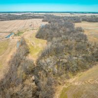 Youngs Creek Agricultural Farm images 5
