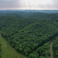 33.6 Acres in Patrick County Virginia