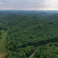33.6 Acres in Patrick County Virginia images 2