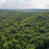 33.6 Acres in Patrick County Virginia images 4