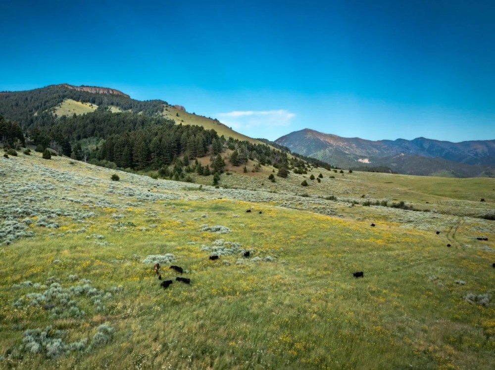 Bridger Foothills Parcel 2 featured image