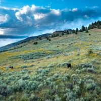 Bridger Foothills Parcel 2 images 2