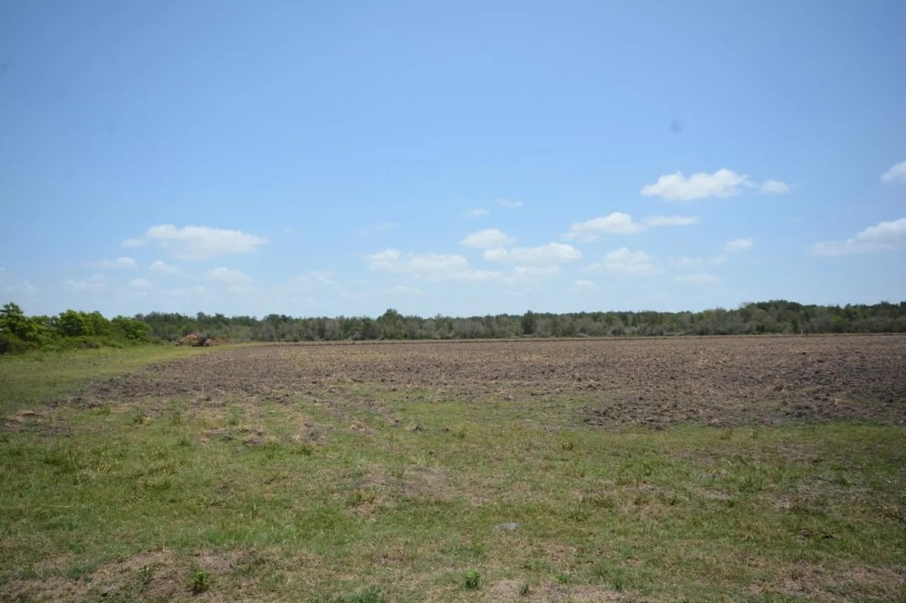 399 Acres of Recreational Property - Double Gum Island Ranch featured image