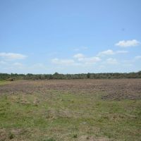 399 Acres of Recreational Property - Double Gum Island Ranch