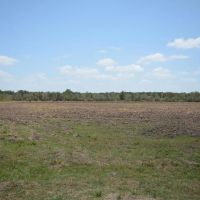 399 Acres of Recreational Property - Double Gum Island Ranch images 2
