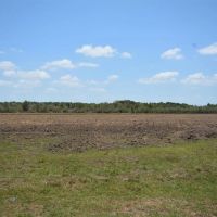 399 Acres of Recreational Property - Double Gum Island Ranch images 3