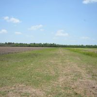 399 Acres of Recreational Property - Double Gum Island Ranch images 4