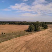 ONLINE ONLY LAND AUCTION 322 M L ACRES PRATT COUNTY KS images 3