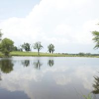 CATTLE RECREATION RANCH WITH CUSTOM HOME Choctaw County OK 160 AC images 2
