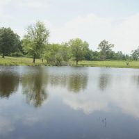 CATTLE RECREATION RANCH WITH CUSTOM HOME Choctaw County OK 160 AC images 3
