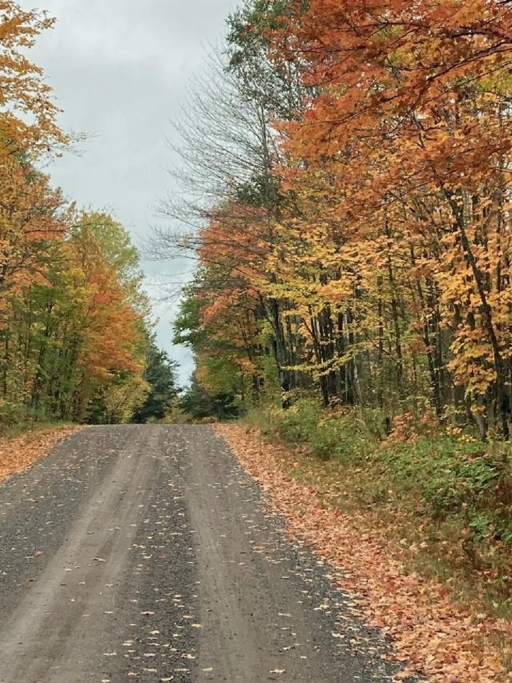 Gogebic County 7.21 Acres featured image