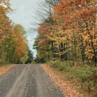 Gogebic County 7.21 Acres images 3