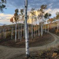 Ski View Ranch images 2