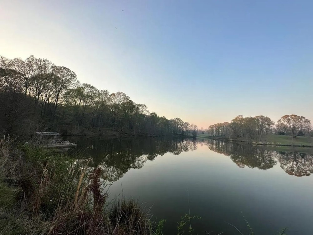 531 Acres Hunting Land Camp Lake for Sale SW MS featured image