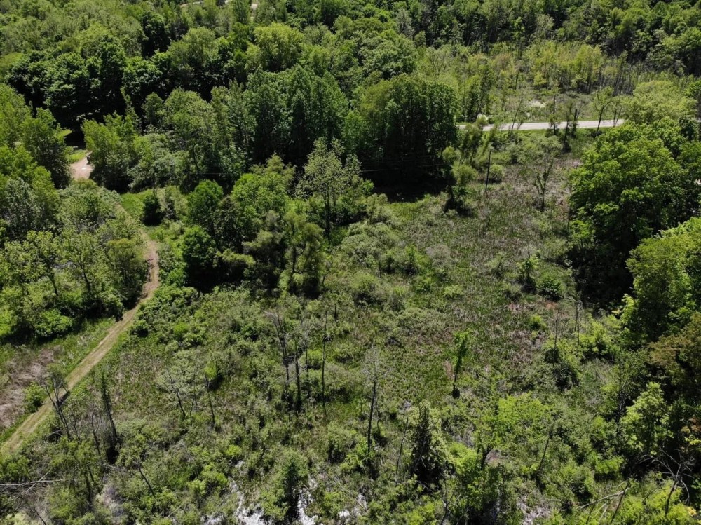 Very rare find 40 acre hunting parcel in Marcellus MI. Hunting Land