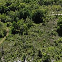 Very rare find 40 - acre hunting parcel in Marcellus MI.