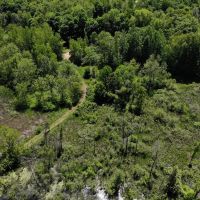 Very rare find 40 - acre hunting parcel in Marcellus MI. images 2