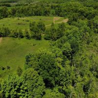 Very rare find 40 - acre hunting parcel in Marcellus MI. images 3