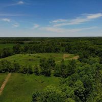 Very rare find 40 - acre hunting parcel in Marcellus MI. images 4