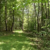 Mayville Mecca images 1