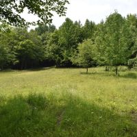 Mayville Mecca images 3