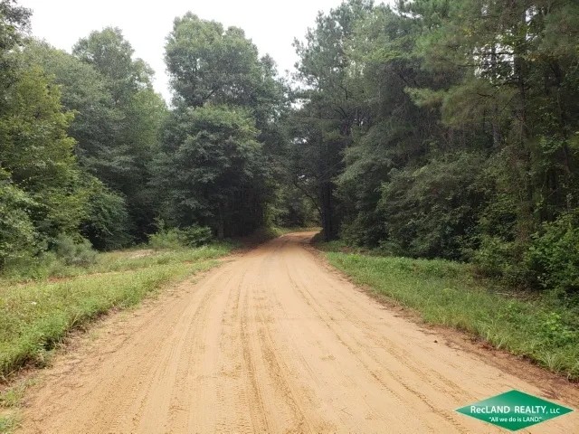 6.9 ac - Timberland for Home Sites - 17.2 acres available featured image