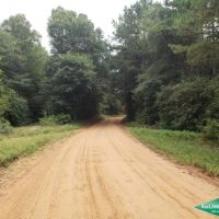 6.9 ac - Timberland for Home Sites - 17.2 acres available