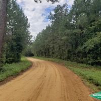 6.9 ac - Timberland for Home Sites - 17.2 acres available images 2