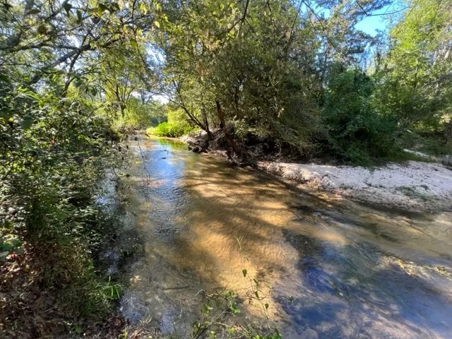 64.5 Acres on Rials Creek Mendenhall MS featured image