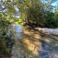 64.5 Acres on Rials Creek Mendenhall MS