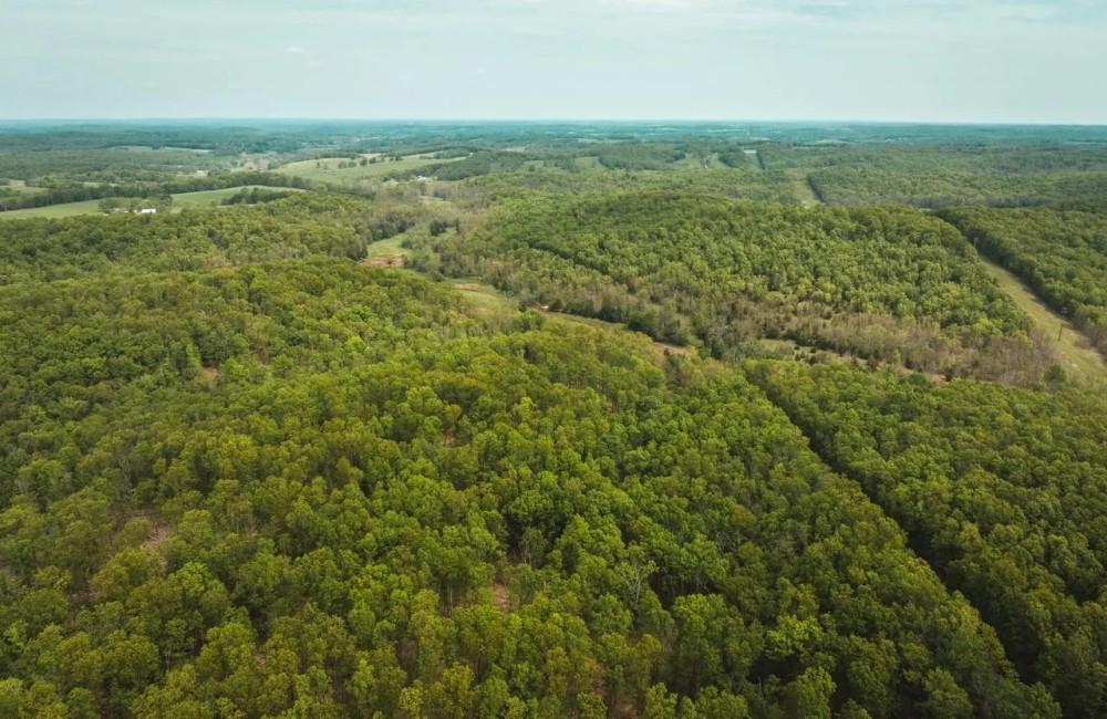 Elk Creek Acres-Tract 4 featured image