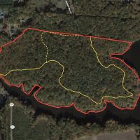 48.8 acres of Residential Recreational Hunting and Timber Land for Sale in Isle of Wight County VA images 2