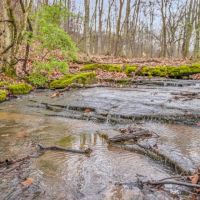 Excellent 58.23 acres of Hunting Recreational Property located in Sumner County Tennessee images 4