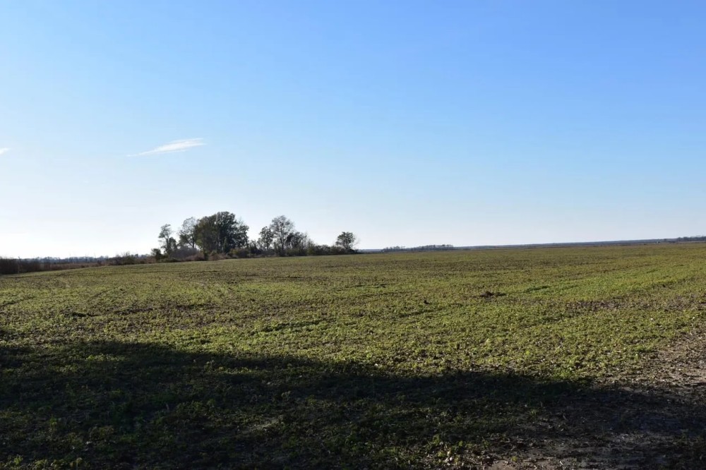 Levee Tract featured image