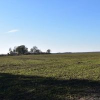 Levee Tract images 1