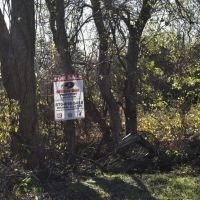 Levee Tract images 3