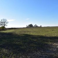Levee Tract images 4