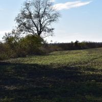 Levee Tract images 5