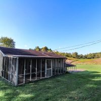 Wildman Rd - 213 acres - Athens County images 4
