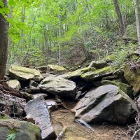 Vanaka Bank Rd - 120 acres - Pike County