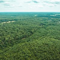 Whitetail Hollow images 1