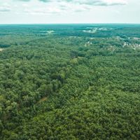 Whitetail Hollow images 2