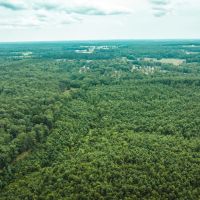 Whitetail Hollow images 3