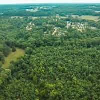 Whitetail Hollow images 4
