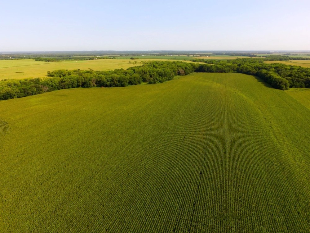 Antelope Creek Farm Hunt featured image