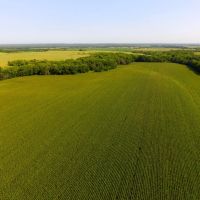 Antelope Creek Farm Hunt